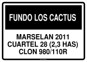 FUNDO LOS CACTUS MARSELAN 2011 CUARTEL 28 (2,3 HAS) CLON 980/110R