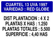 CUARTEL 13 UVA 1997 VARIEDAD : RED GLOBE DIST PLANTACION : 4 X 2 PLANTAS X HAS : 1.250 PLANTAS TOTALES : 5.500 SUPERFICIE : 4,40 HAS