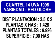 CUARTEL 14 UVA 1998 VARIEDAD : RED GLOBE DIST PLANTACION : 3,5 X 2 PLANTAS X HAS : 1.428 PLANTAS TOTALES : 9.996 SUPERFICIE : 7,00 HAS
