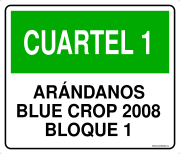 CUARTEL 1 ARÁNDANOS BLUE CROP 2008 BLOQUE 1