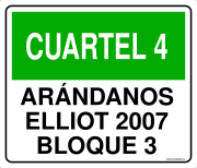 CUARTEL 4 ARÁNDANOS ELLIOT 2007 BLOQUE 3