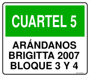 CUARTEL 5 ARÁNDANOS BRIGITTA 2007 BLOQUE 3 Y 4