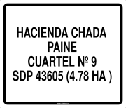 HACIENDA CHADA PAINE CUARTEL Nº 9 SDP 43605 (4.78 HA )