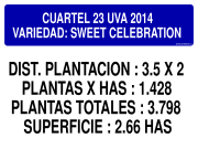 CUARTEL 23 UVA 2014 VARIEDAD: SWEET CELEBRATION DIST. PLANTACION : 3.5 X 2 PLANTAS X HAS : 1.428 PLANTAS TOTALES : 3.798 SUPERFICIE : 2.66 HAS