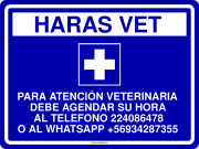 HARAS VET
